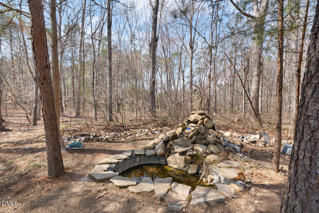 4739 Wild Azalea Place Rougemont, NC 27572 - Photo 36 of 49 DSC01481