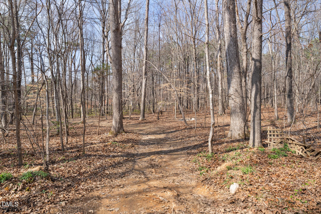 4739 Wild Azalea Place Rougemont, NC 27572 - Photo 46 of 49 DSC01486