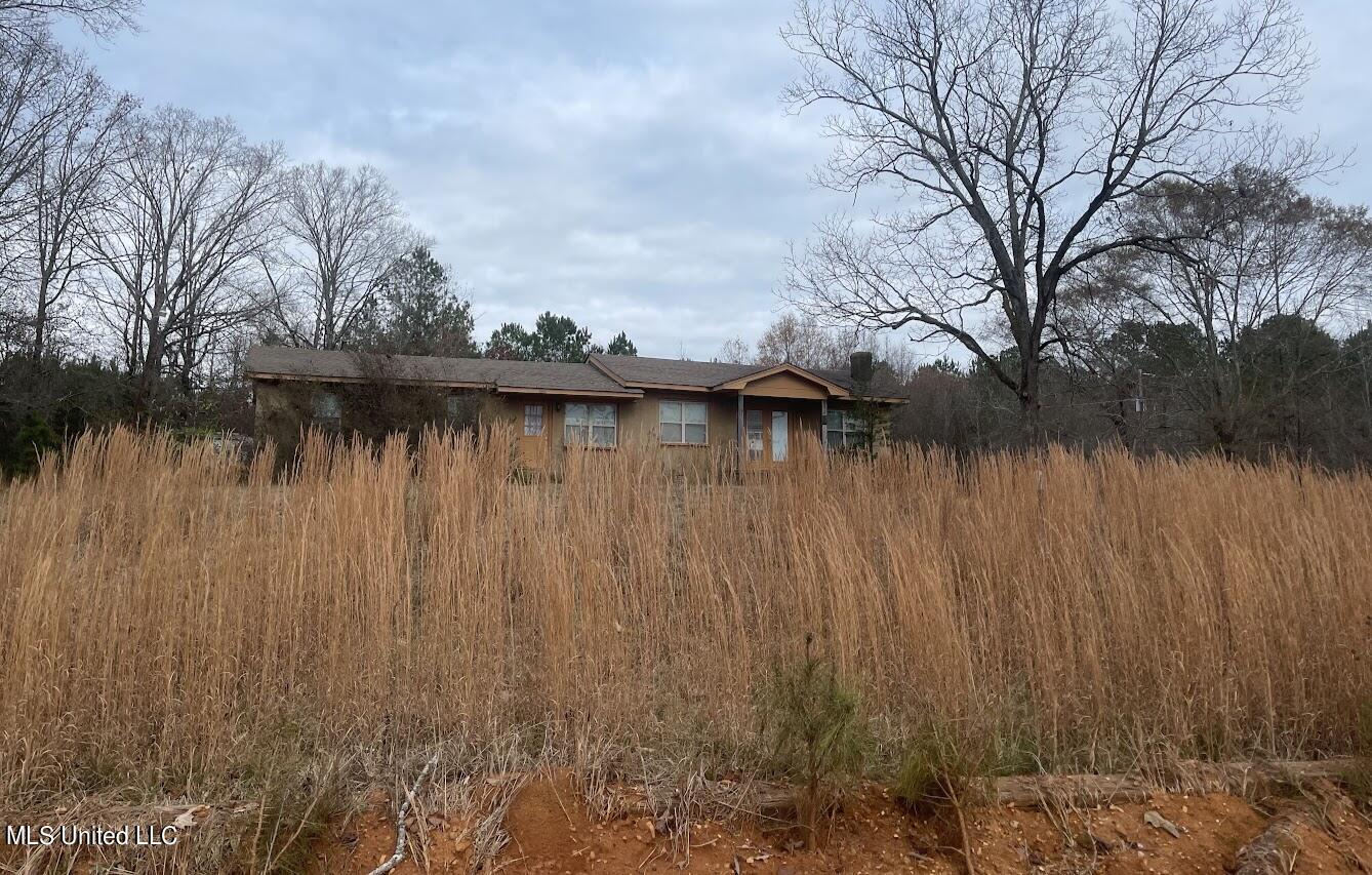 2419 Crowder Creek Road Carthage, MS 39051 - Photo 1 of 28 Primary