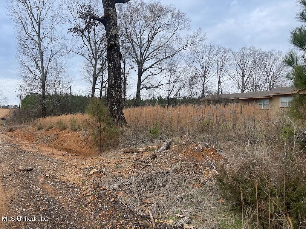 2419 Crowder Creek Road Carthage, MS 39051 - Photo 5 of 28 0b0142d7-5a21-4a4b-a189-3f7c5f0c64d9