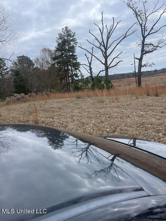 2419 Crowder Creek Road Carthage, MS 39051 - Photo 10 of 28 f4259380-4243-4802-a63d-d16b5190eca6