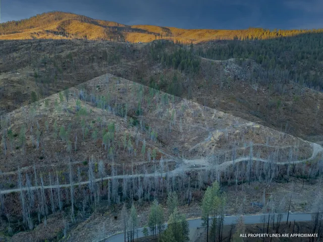 $79,000 | Lot 12 Rail Canyon Road, Tumtum, WA 99034