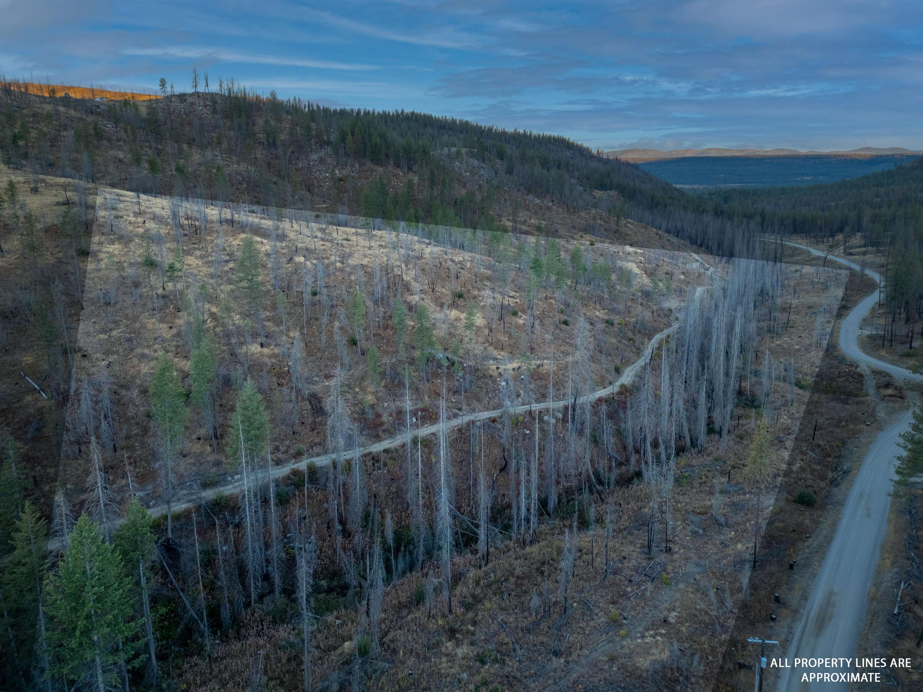 Lot 12 Rail Canyon Road Tumtum, WA 99034 - Photo 3 of 11