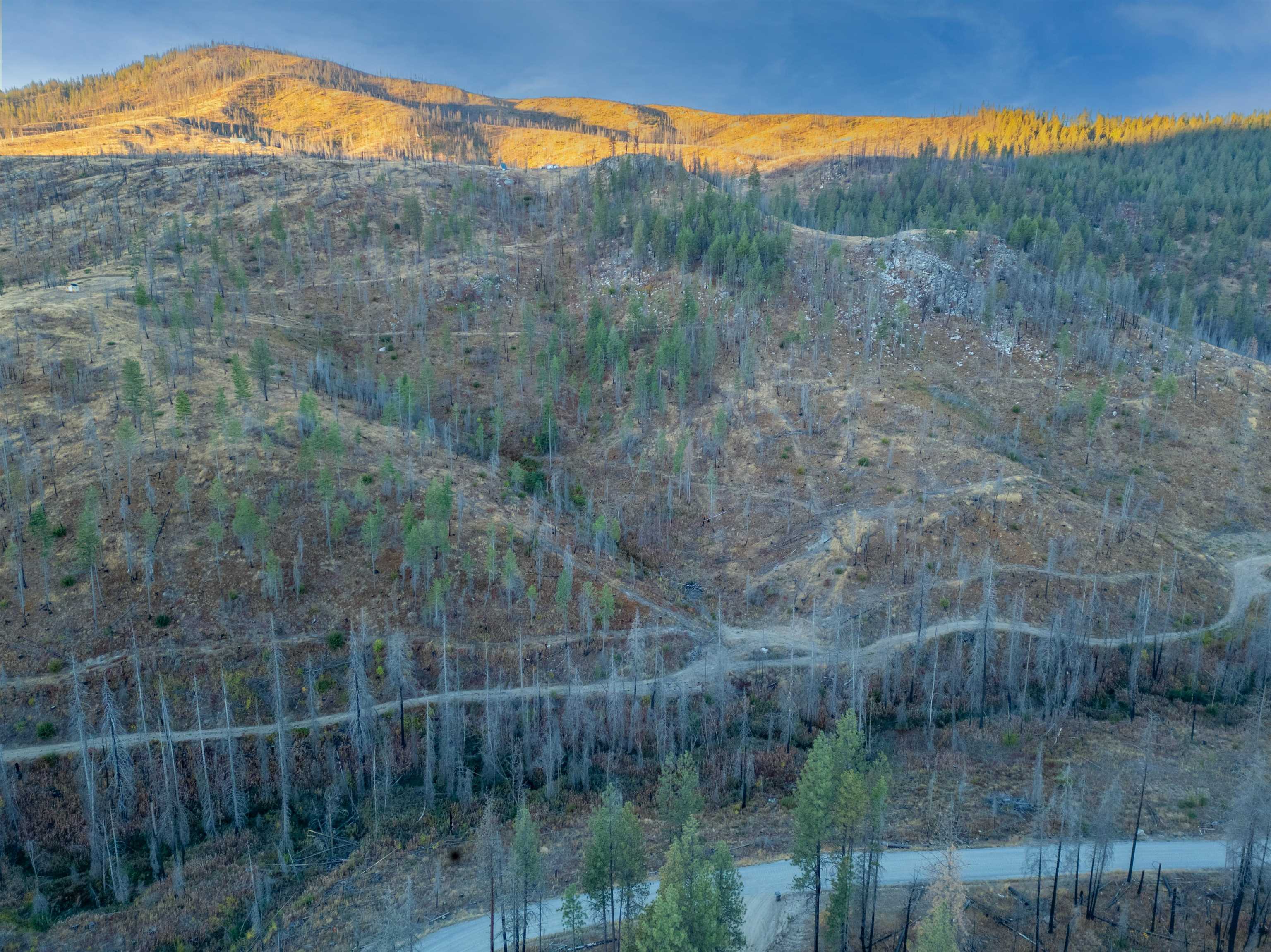 Lot 12 Rail Canyon Road Tumtum, WA 99034 - Photo 4 of 11