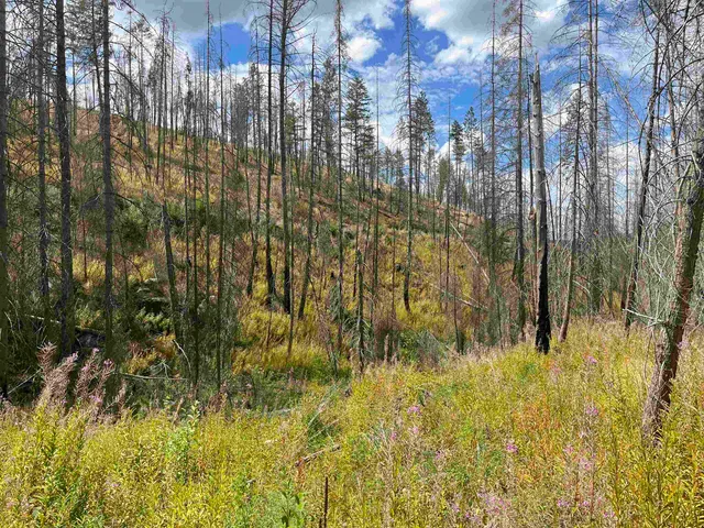 $79,000 | Lot 12 Rail Canyon Road, Tumtum, WA 99034