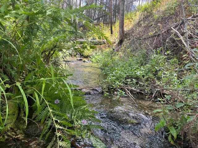 $79,000 | Lot 12 Rail Canyon Road, Tumtum, WA 99034