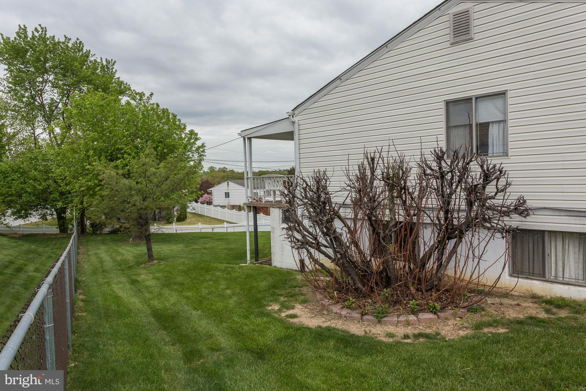 1514 Customs Road Rosedale, MD 21237 - Photo 19 of 20 Fig Tree