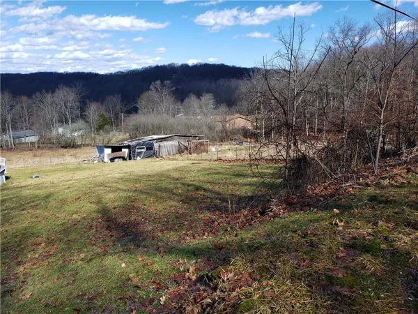 a view of a backyard with green space