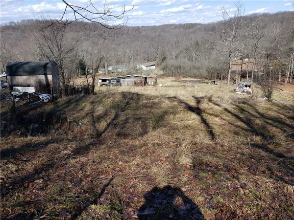 a view of a fire pit with large trees