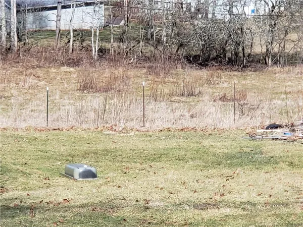 a view of a yard with a large tree