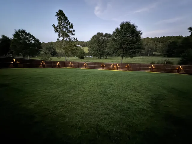 a view of a grassy field