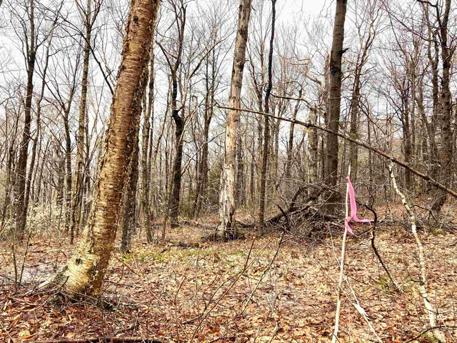 $85,000 | 402 Fox Mt Road, Unit LOTS M402 & M403, Wilmington, VT 05363