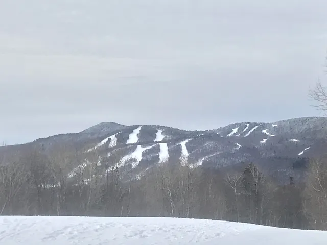 $85,000 | 402 Fox Mt Road, Unit LOTS M402 & M403, Wilmington, VT 05363