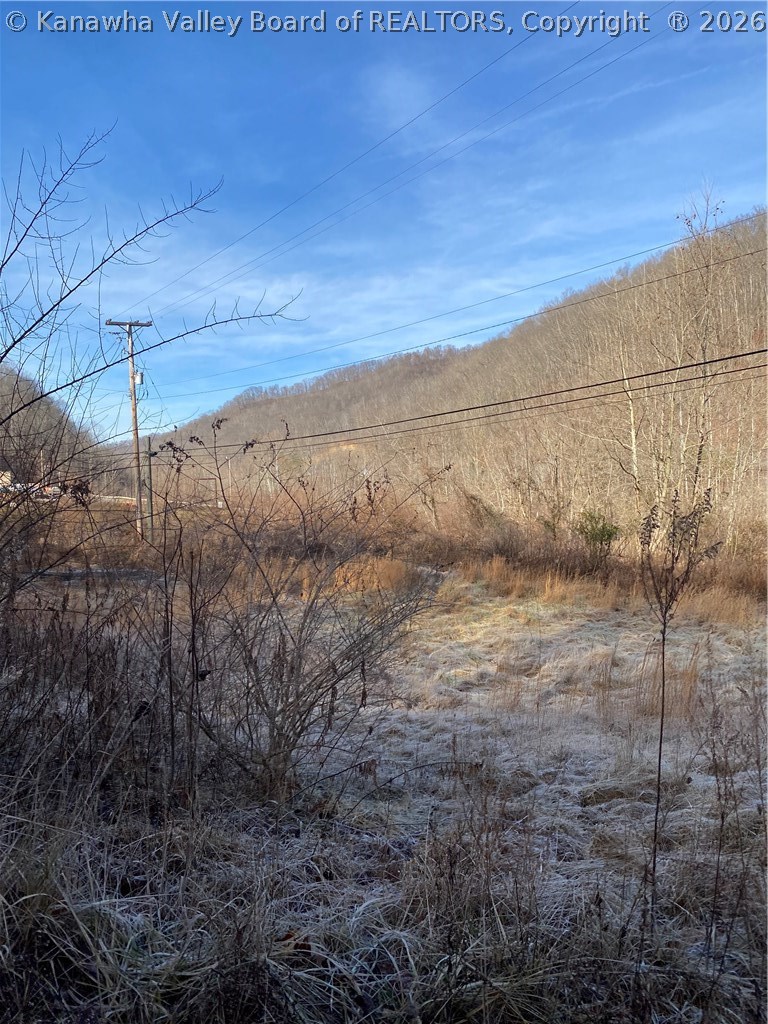 Tbd Bell Road Chapmanville, WV 25508 - Photo 7 of 11 Gallery Image 7