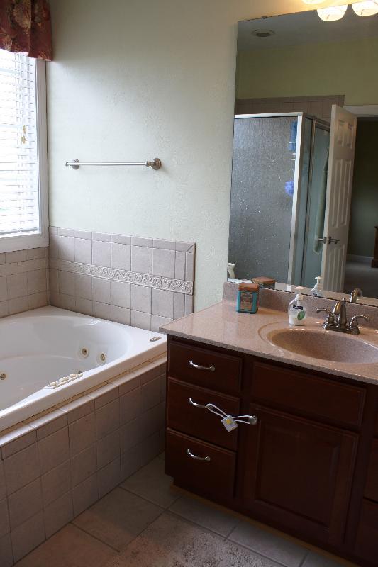 101 Summit Ridge Road Daleville, VA 24083 - Photo 29 of 55 Master Bath