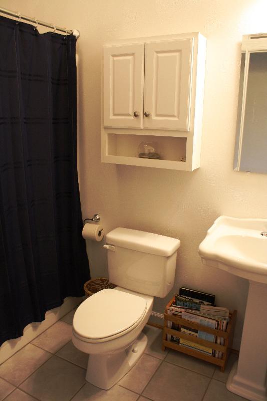 101 Summit Ridge Road Daleville, VA 24083 - Photo 38 of 55 Full Bath Entry