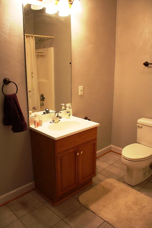 101 Summit Ridge Road Daleville, VA 24083 - Photo 43 of 55 Full bath lower