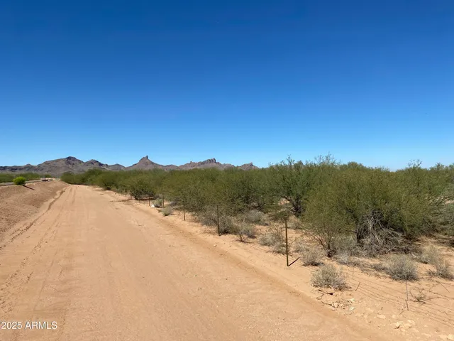 a view of a road with a snow in the background