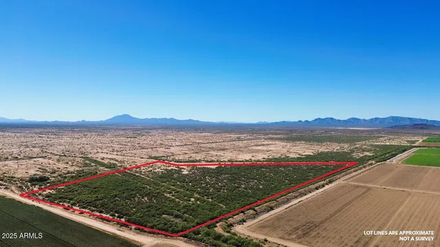 a view of lake with city