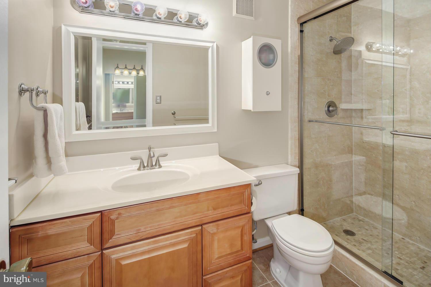 10062 Oakton Terrace Road, Unit 10062 Oakton, VA 22124 - Photo 18 of 24 Bath