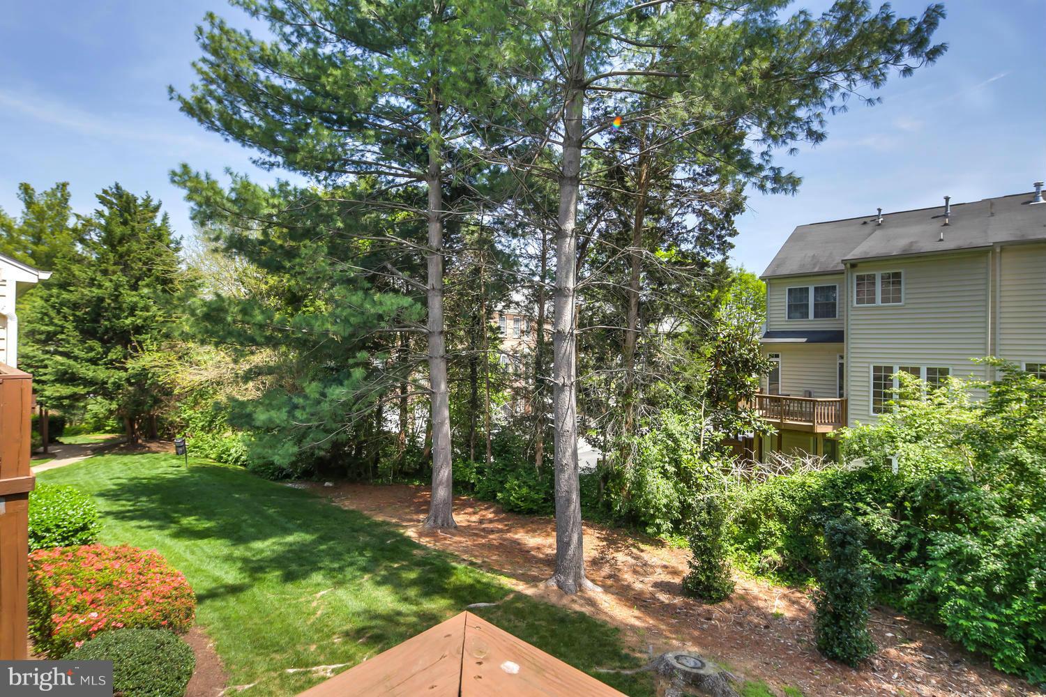 10062 Oakton Terrace Road, Unit 10062 Oakton, VA 22124 - Photo 23 of 24 Exterior (Rear)