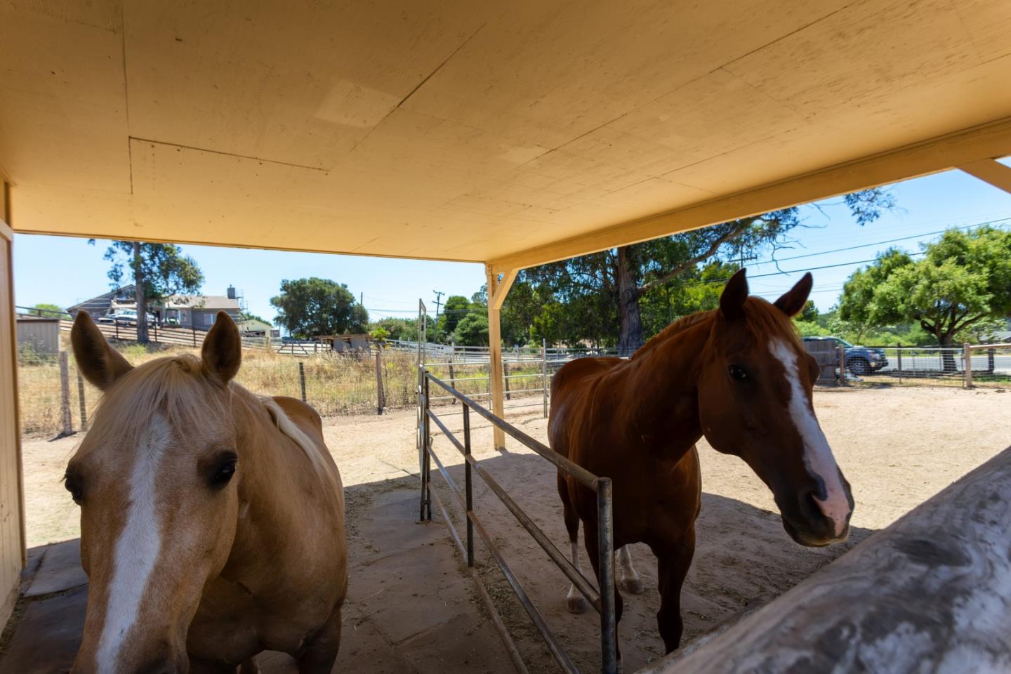 2051 Elkhorn Road Castroville, CA 95012 - Photo 2 of 31 Gallery Image 2
