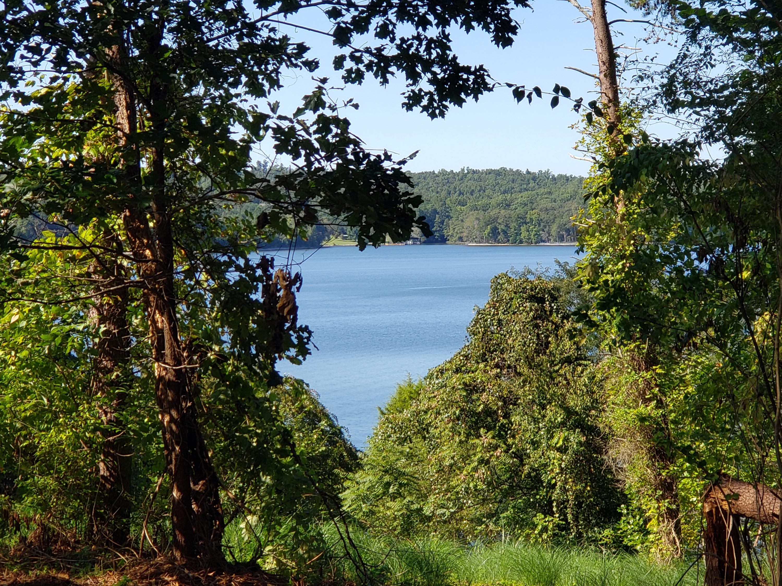 1320 Windridge Road Friendsville, TN 37737 - Photo 2 of 10 Lake View