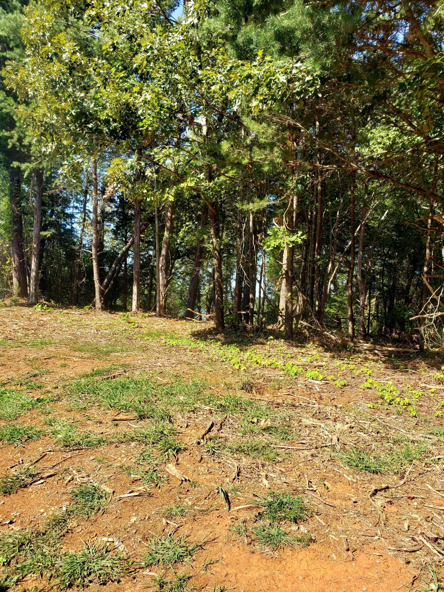 1320 Windridge Road Friendsville, TN 37737 - Photo 4 of 10 Front of lot