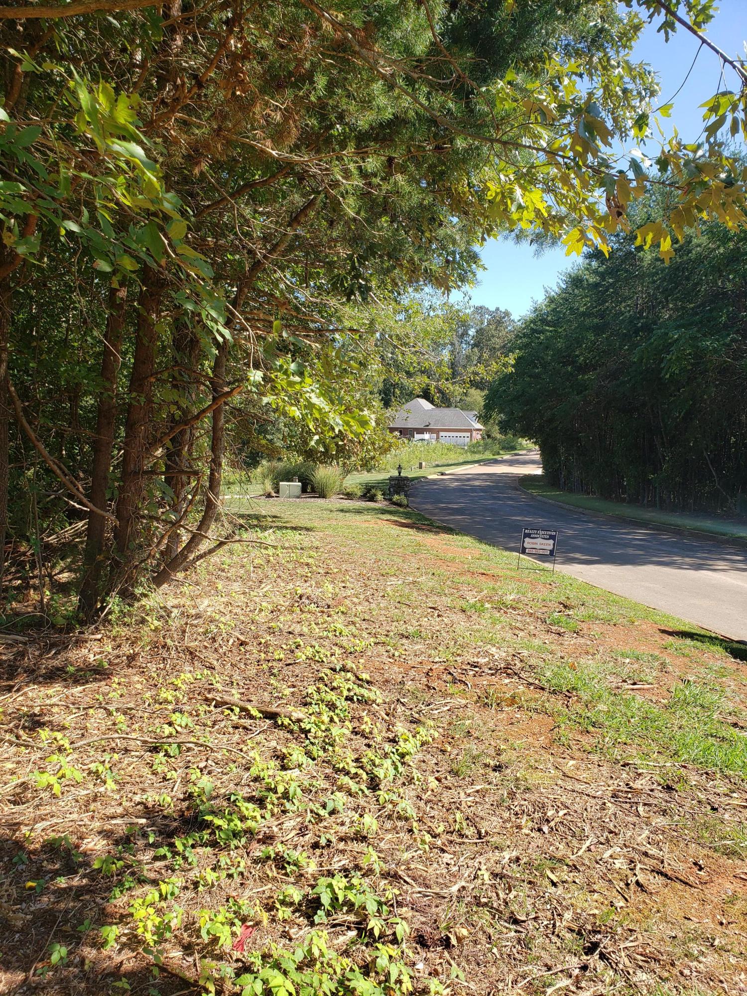 1320 Windridge Road Friendsville, TN 37737 - Photo 6 of 10 Street View