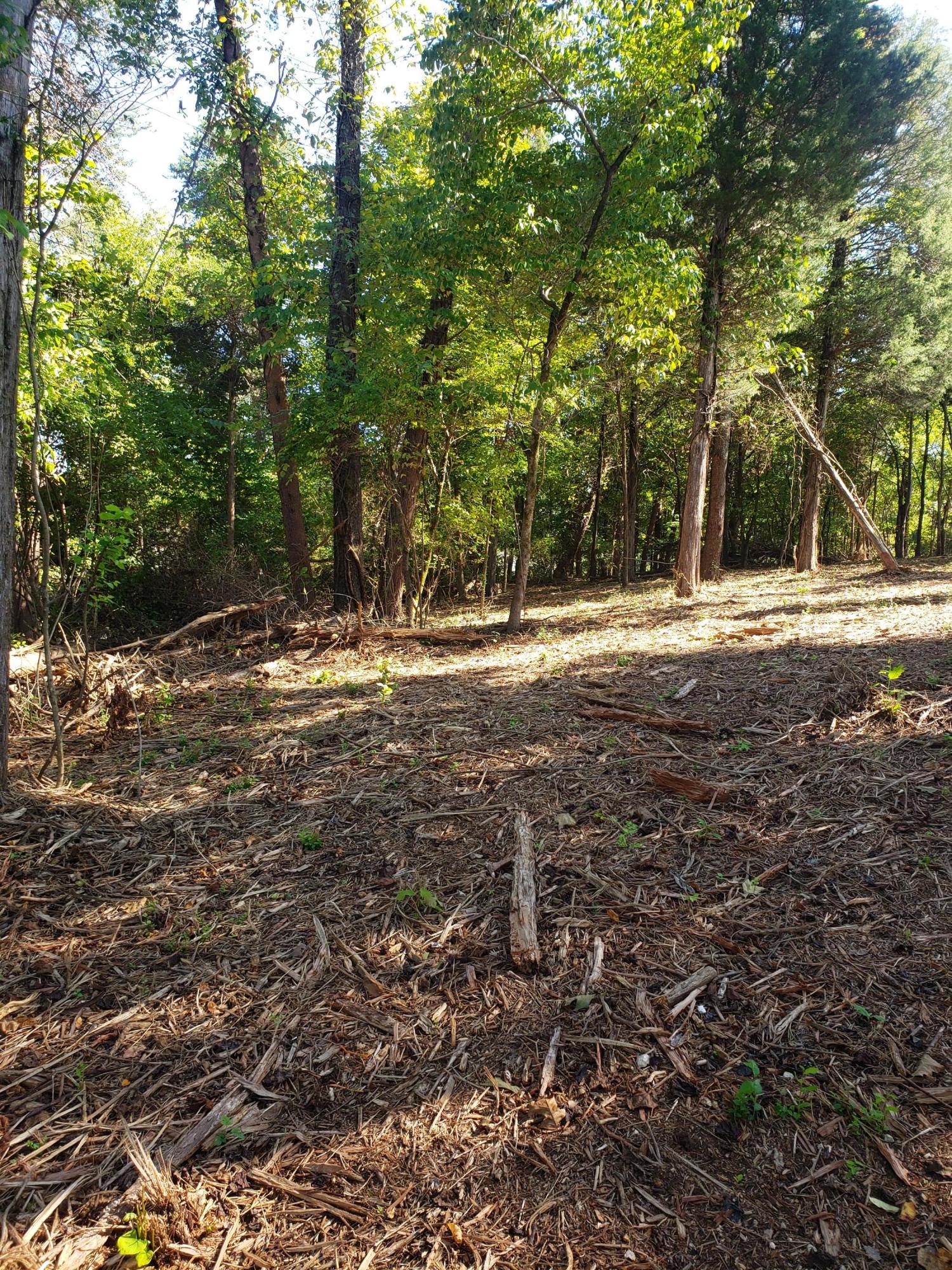 1320 Windridge Road Friendsville, TN 37737 - Photo 8 of 10 20200921_152856