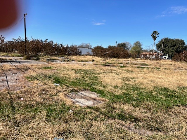 4300 Leopard Street Corpus Christi, TX 78408 - Photo 7 of 14 a view of a yard with a tree