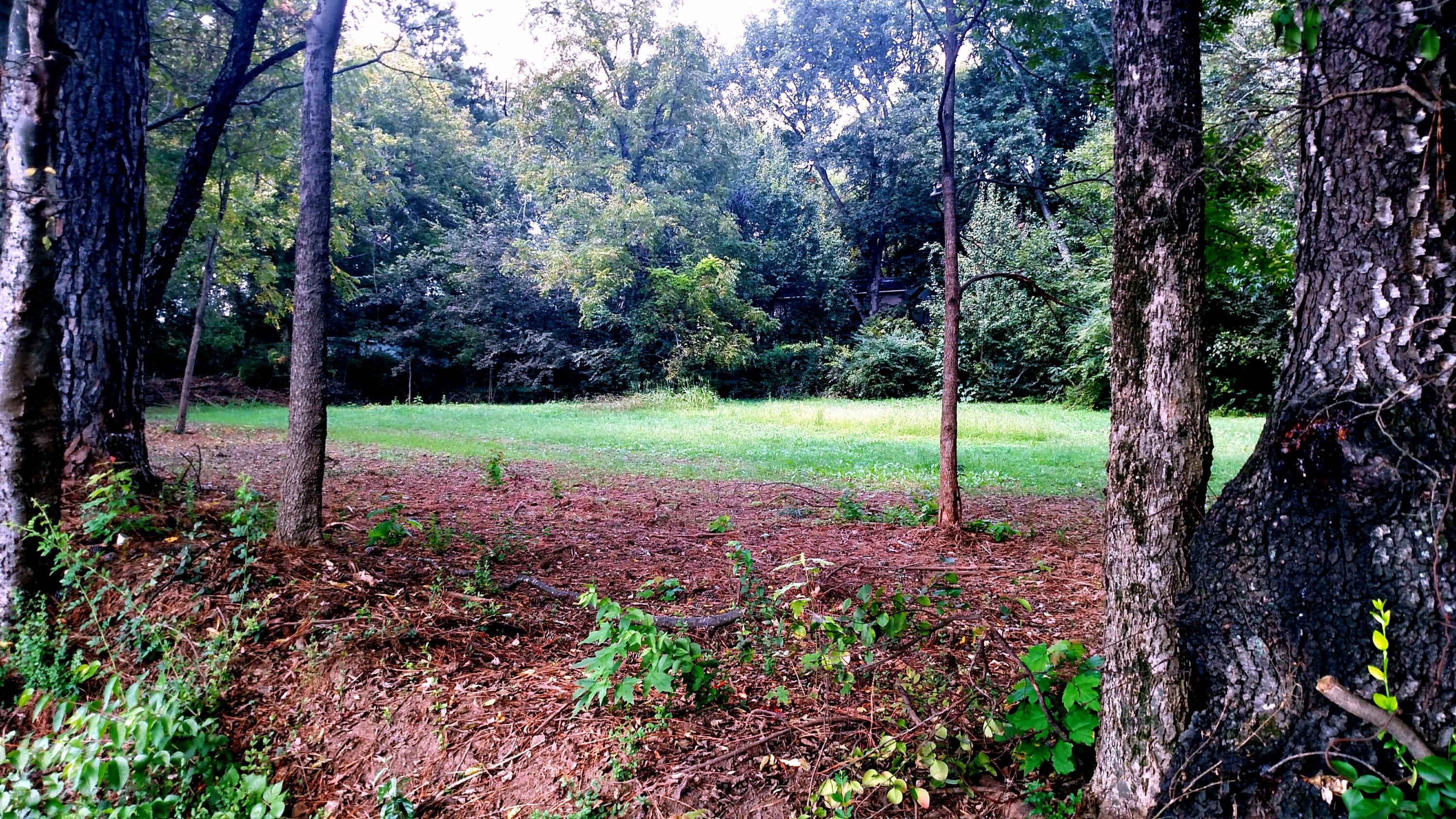 0 West Madison Avenue, Unit R4 & R5 Athens, TN 37303 - Photo 8 of 20 Partially Cleared Lot