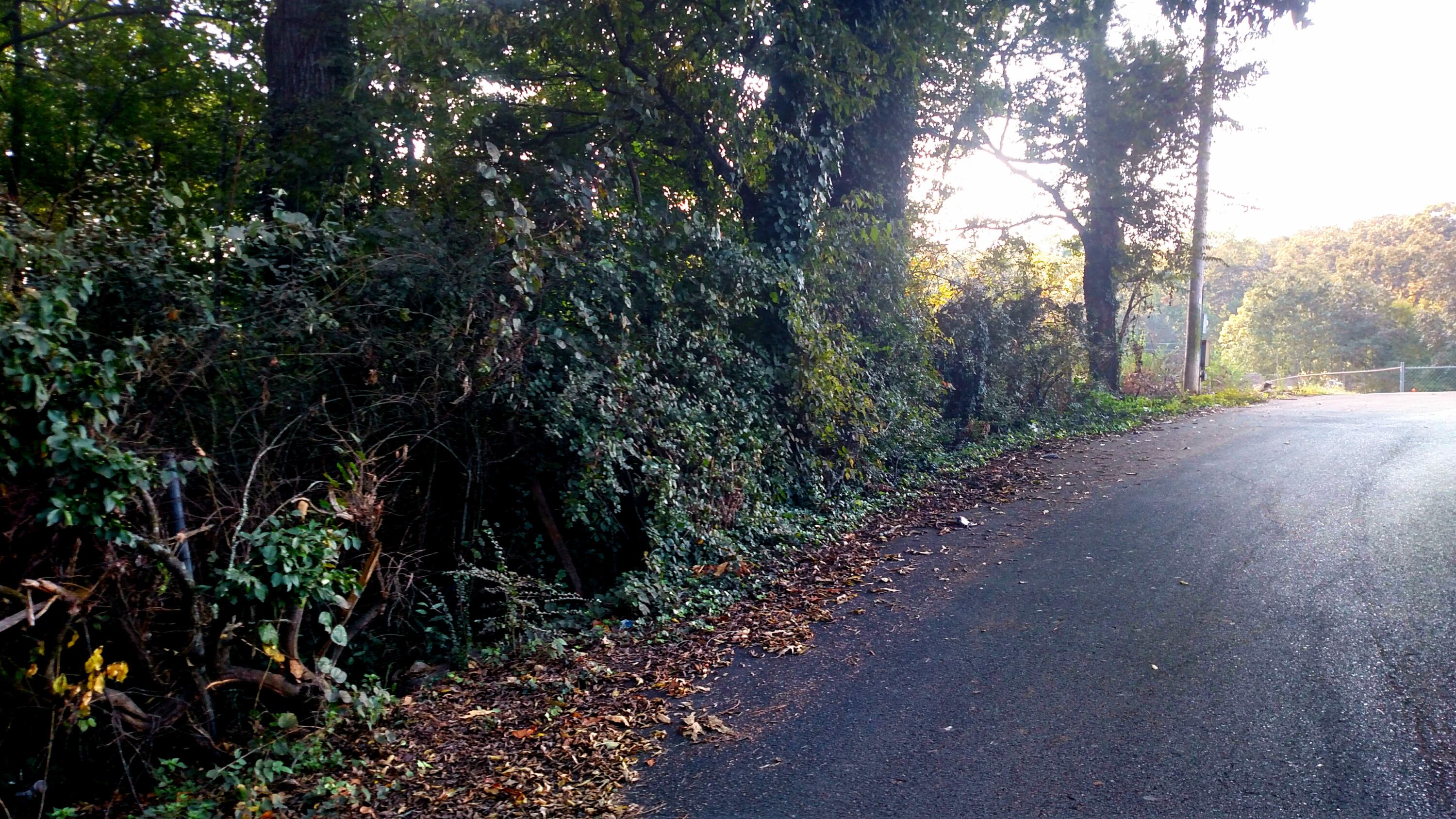 0 West Madison Avenue, Unit R4 & R5 Athens, TN 37303 - Photo 9 of 20 Road Access - 3 Sides