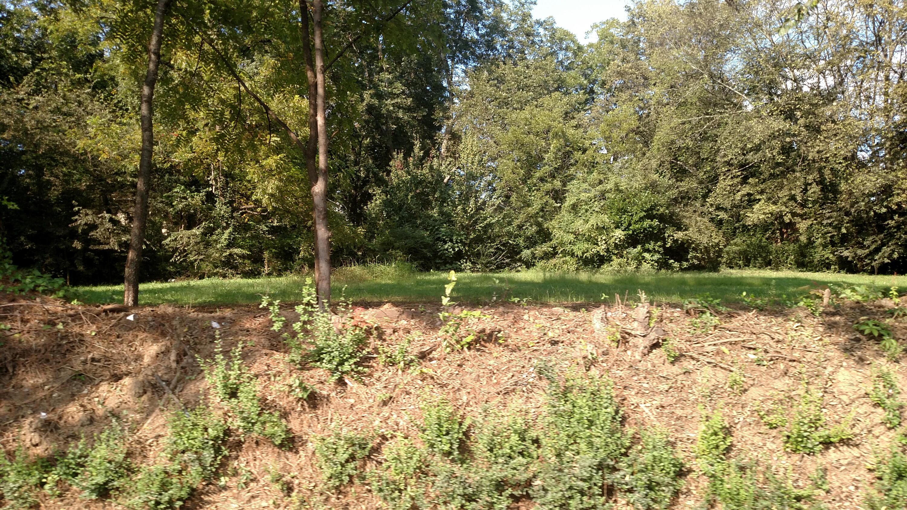 0 West Madison Avenue, Unit R4 & R5 Athens, TN 37303 - Photo 10 of 20 Mostly Level Tract