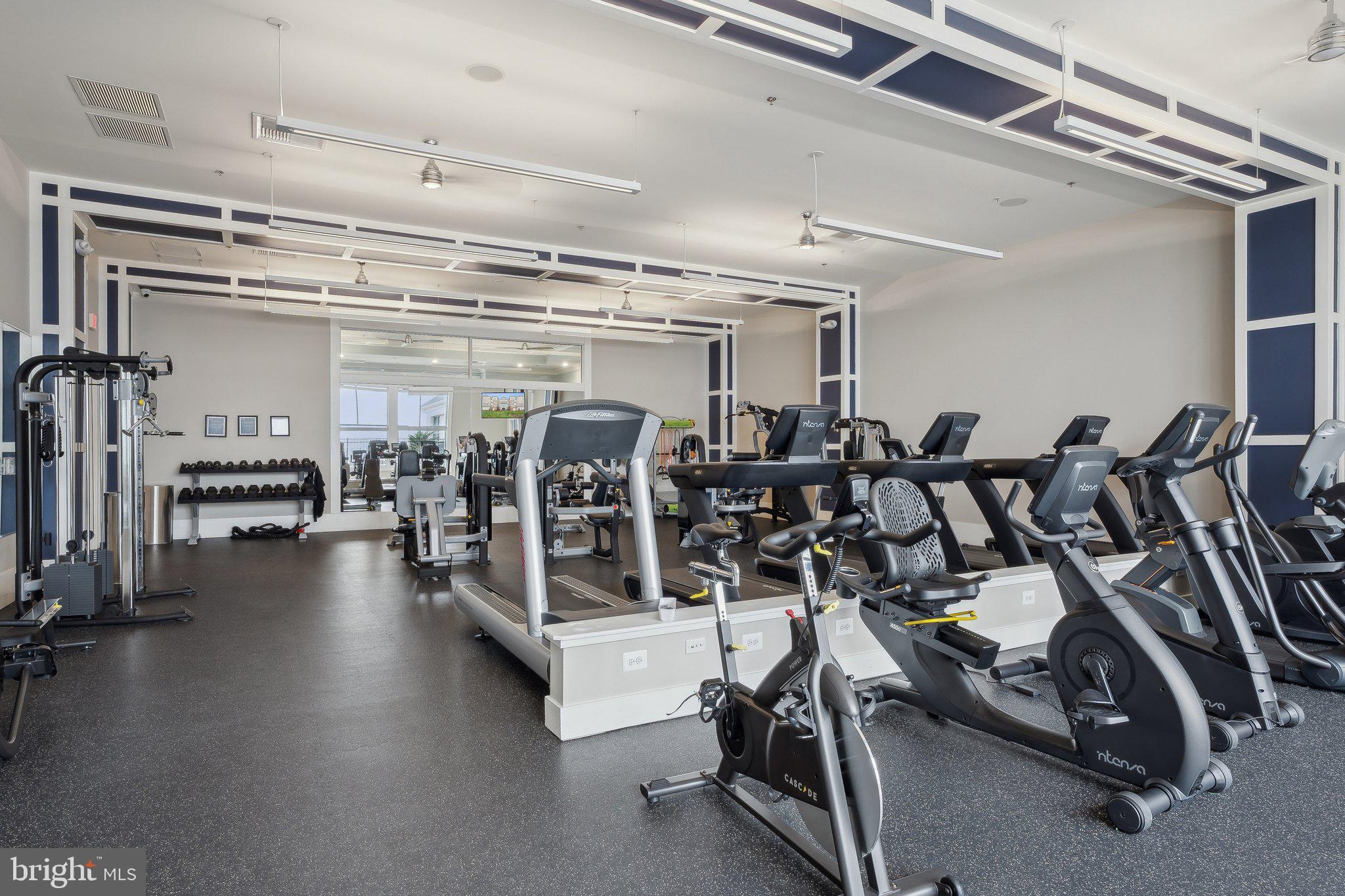 170 Harrier Way, Unit 34 Chester, MD 21619 - Photo 50 of 81 a view of a room with gym equipment