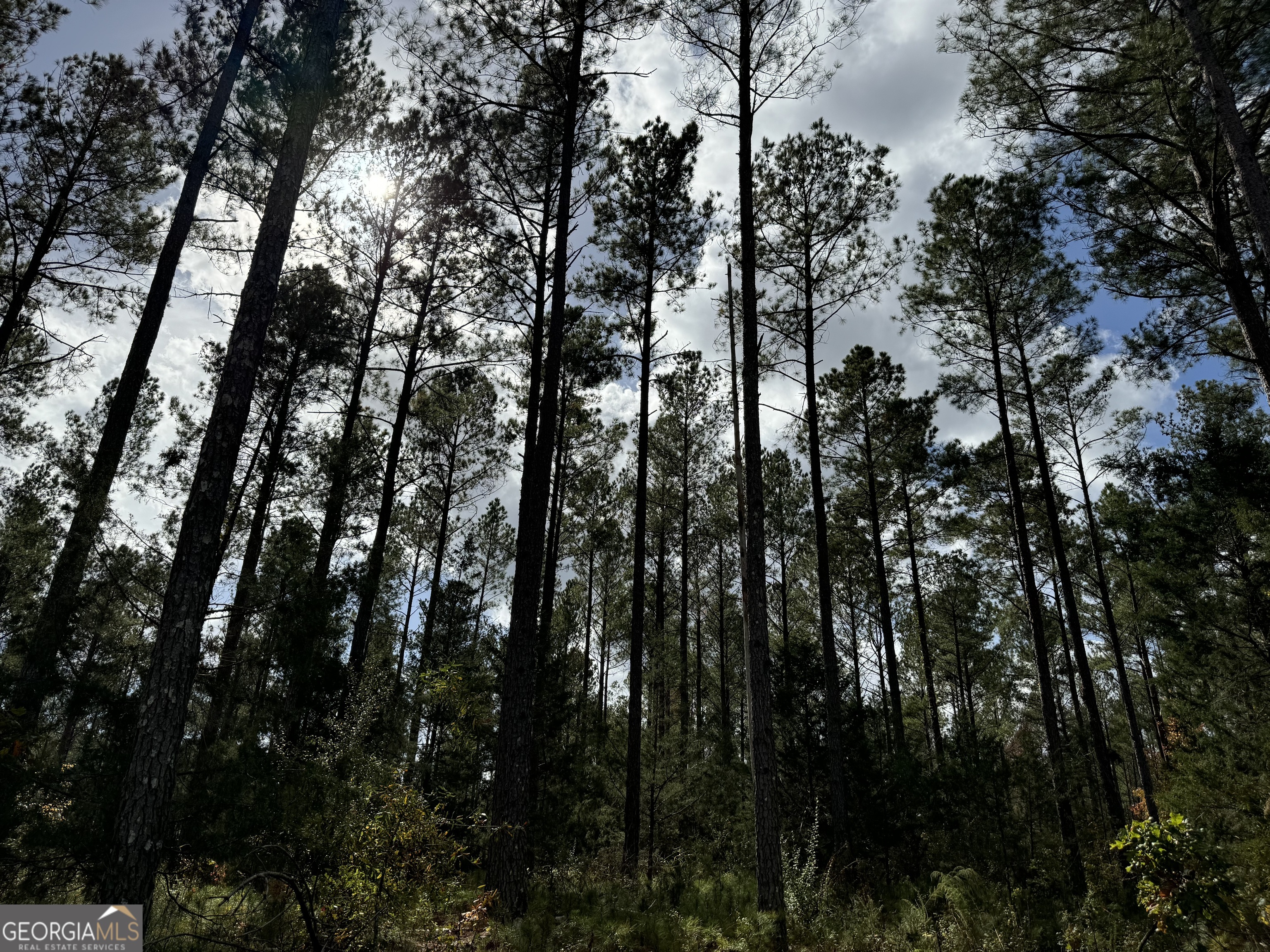 4 Seneca Street Calhoun Falls, SC 29628 - Photo 4 of 9