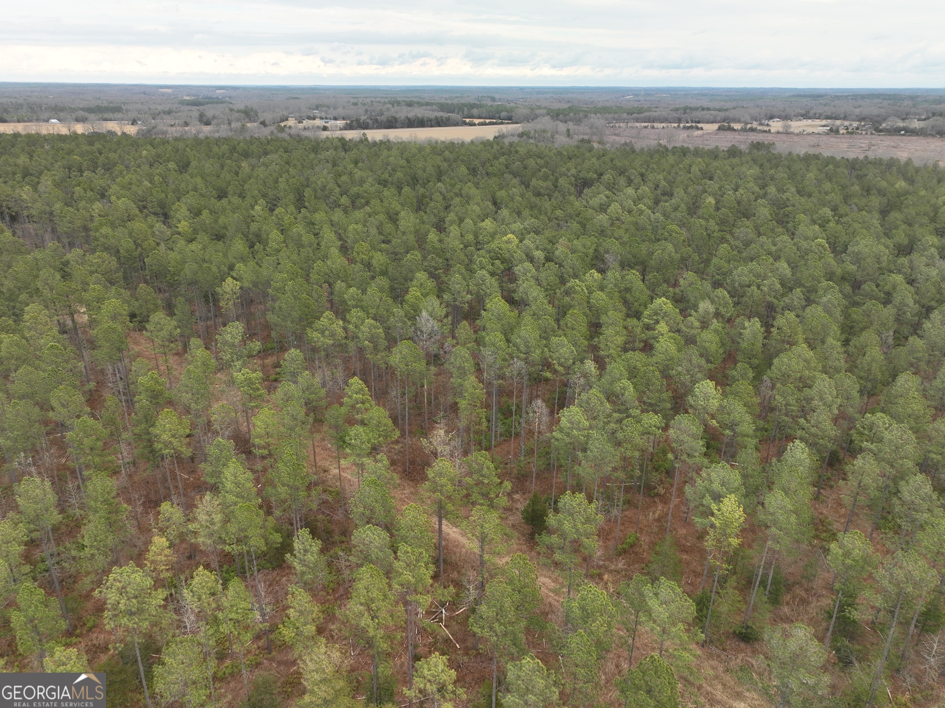 4 Seneca Street Calhoun Falls, SC 29628 - Photo 7 of 9 a view of a field with an outdoor space