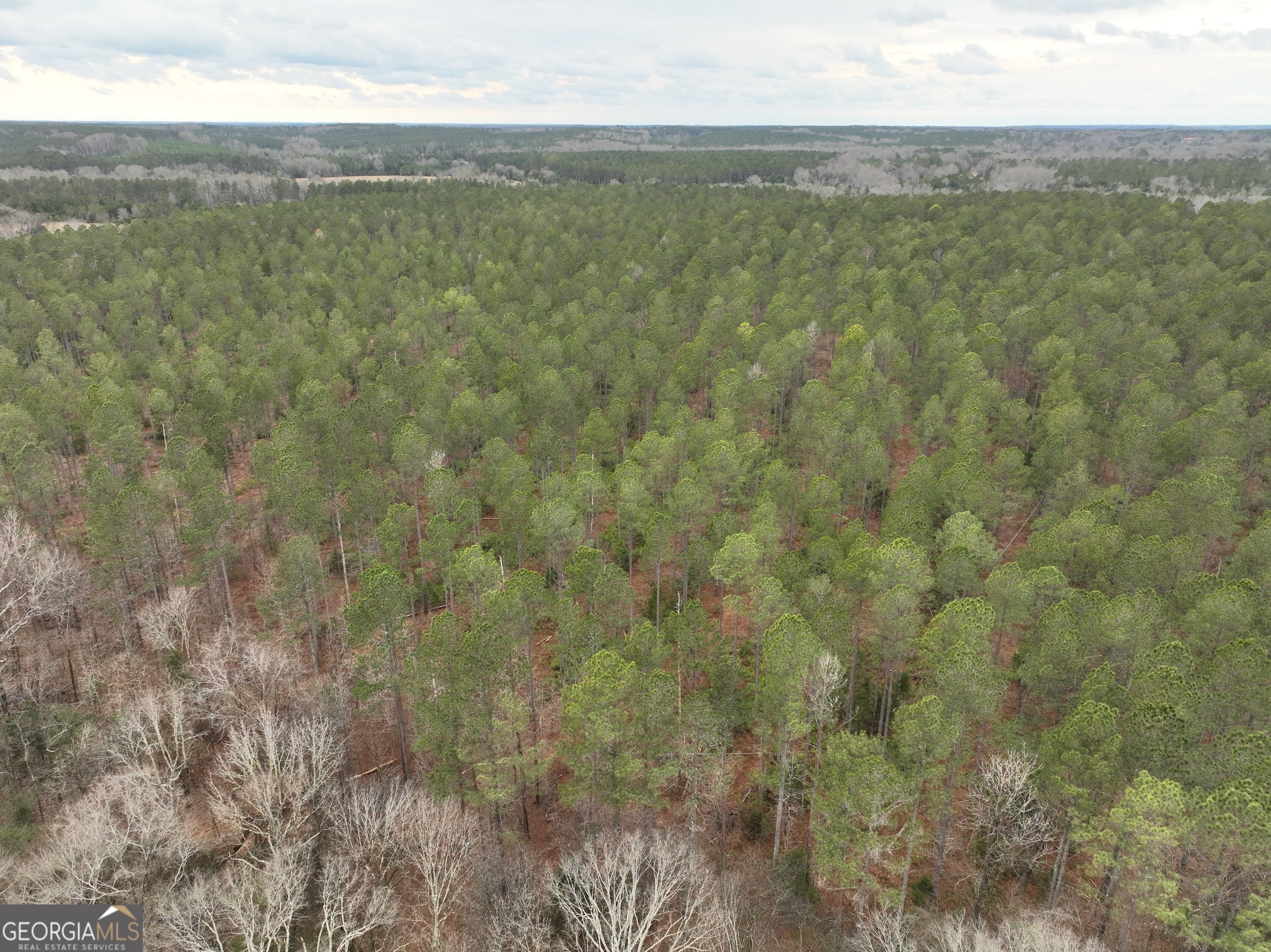 4 Seneca Street Calhoun Falls, SC 29628 - Photo 8 of 9 a view of a field with an outdoor space