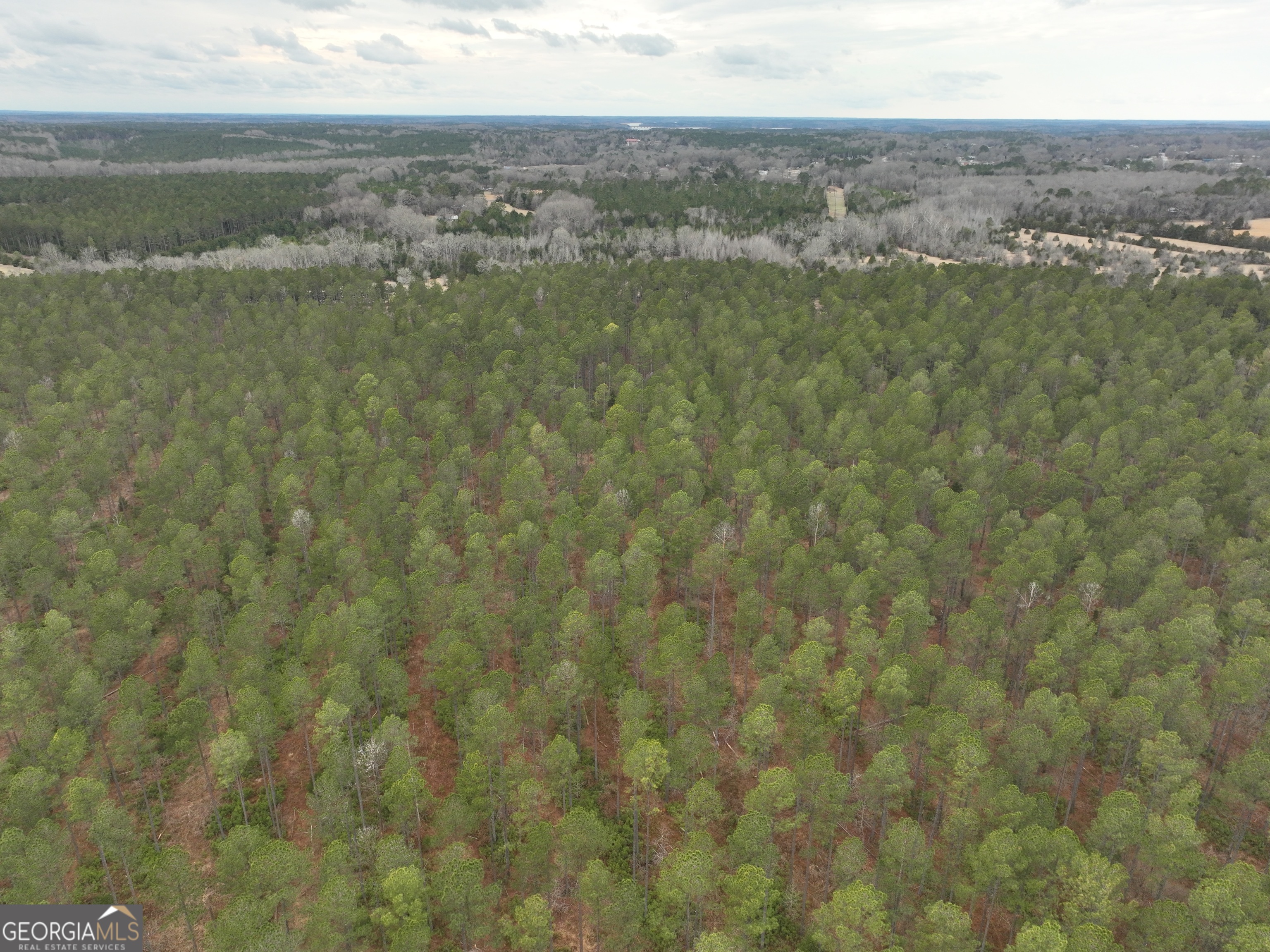 4 Seneca Street Calhoun Falls, SC 29628 - Photo 9 of 9 a view of city and mountain
