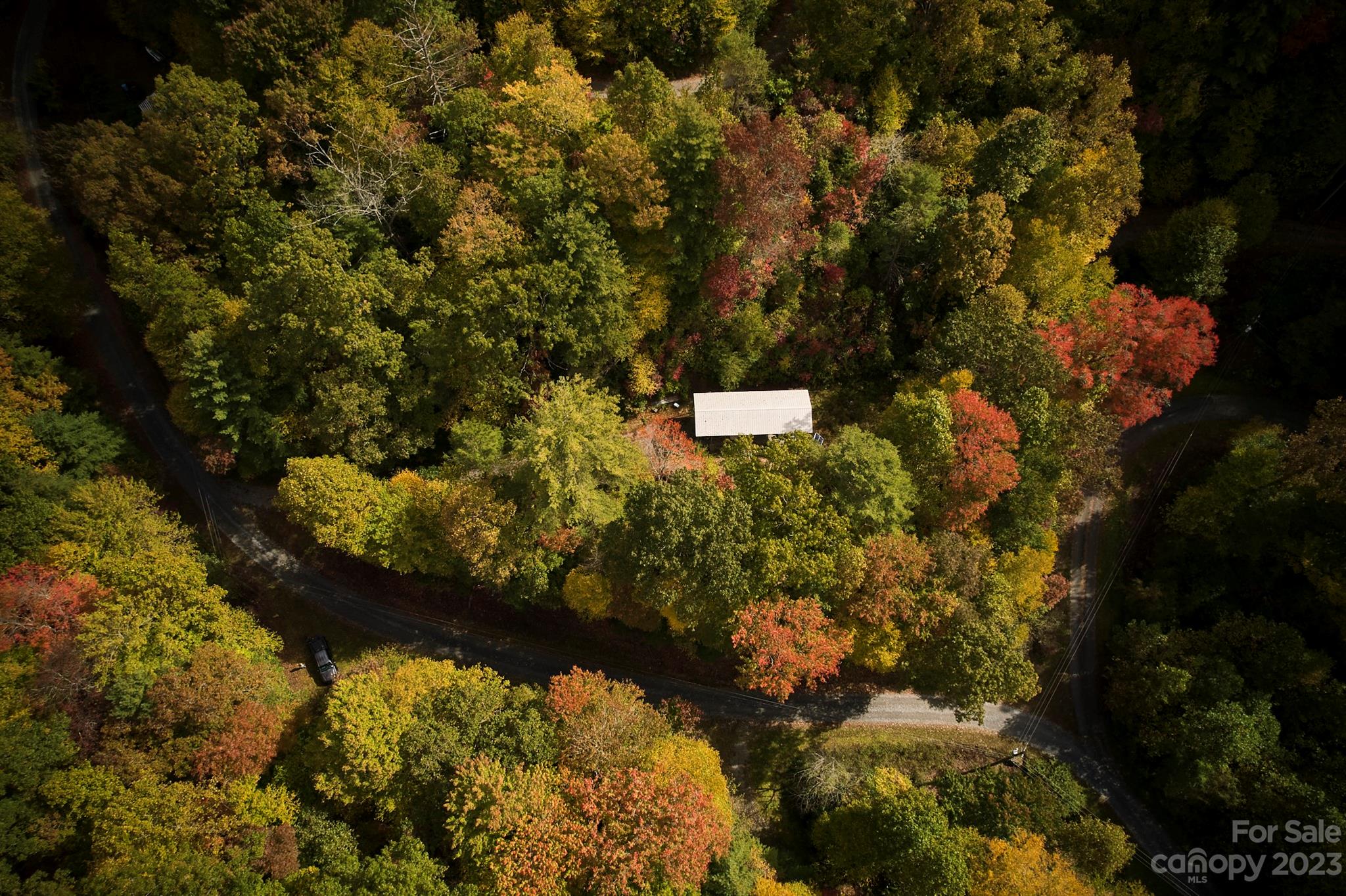 0 Legacy Lane Road Robbinsville, NC 28771 - Photo 4 of 23 Gallery Image 4