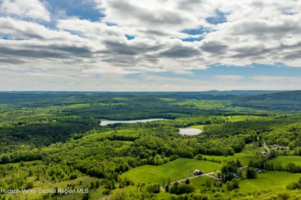 a view of a garden with an ocean