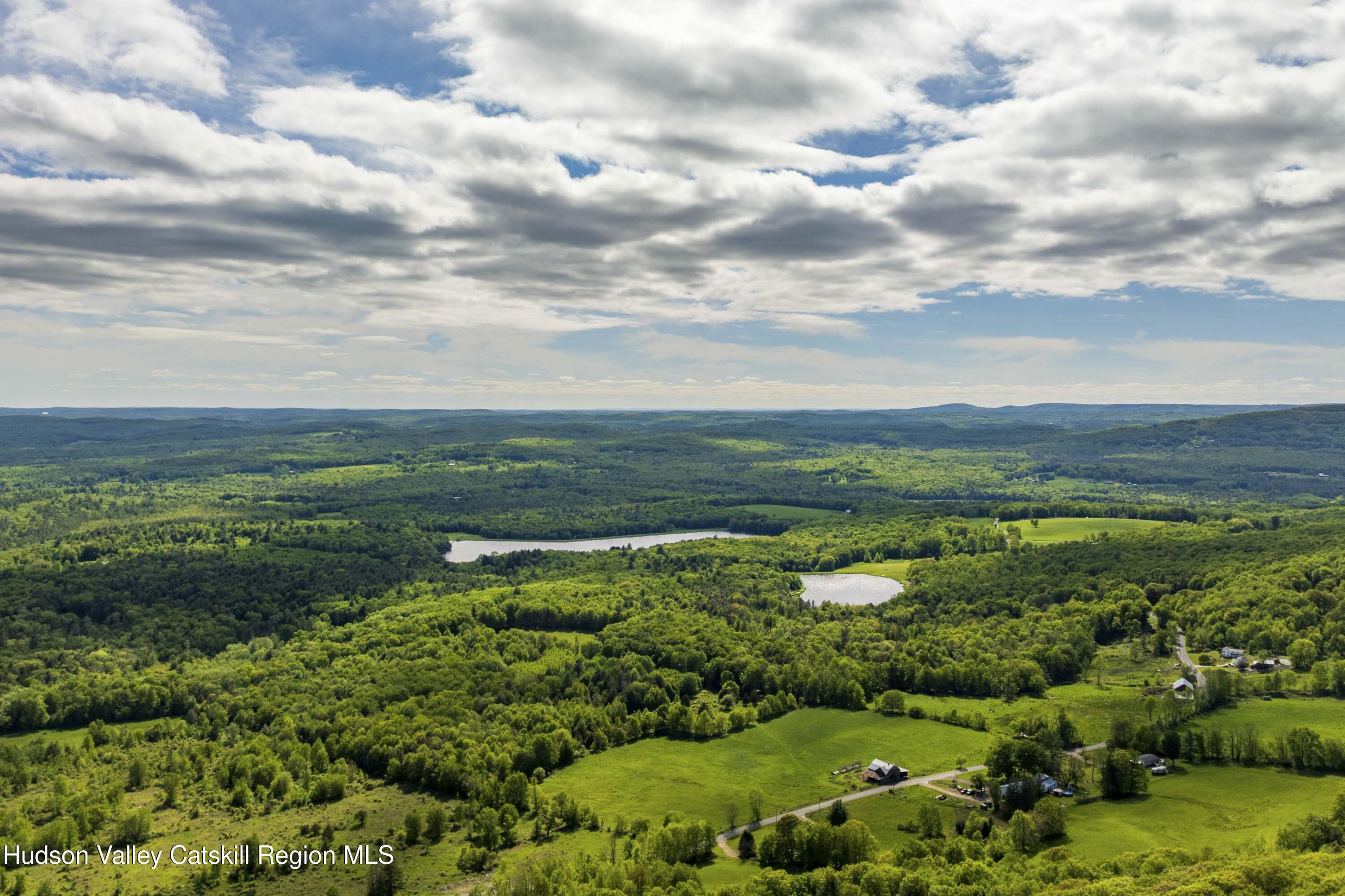 a view of a garden with an ocean