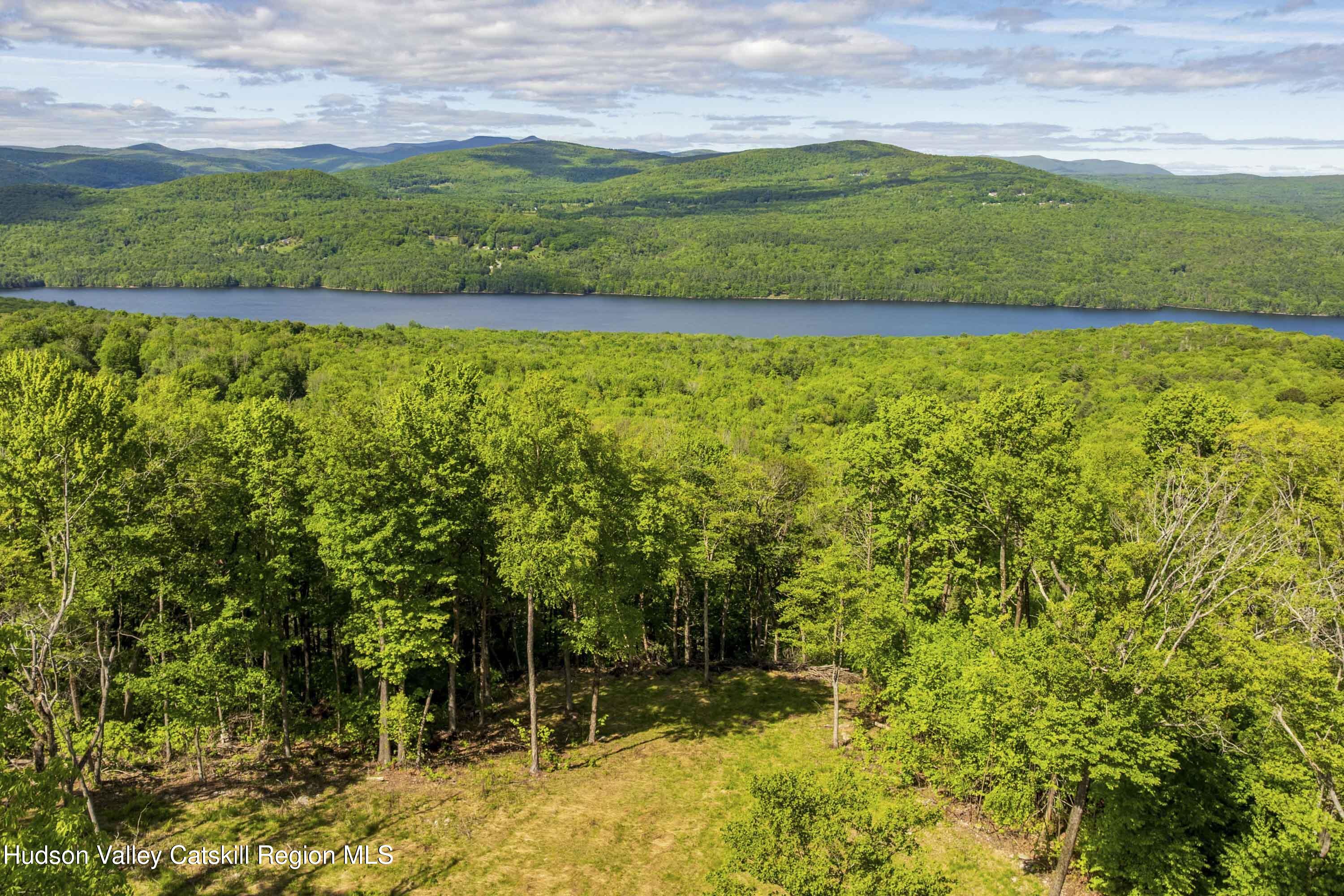 3 Red Rock Road Grahamsville, NY 12740 - Photo 2 of 15 a view of a yard with an outdoor space