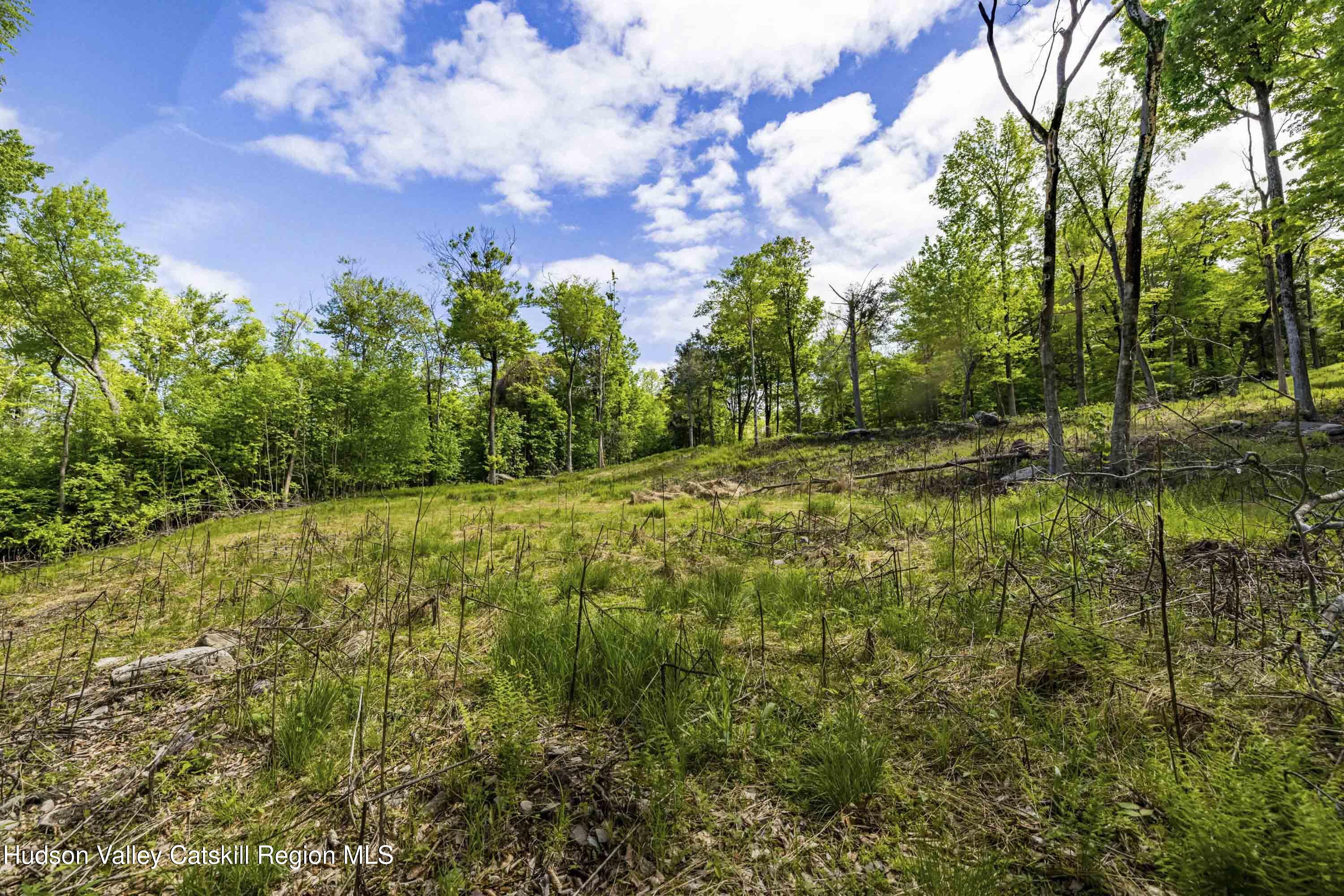 3 Red Rock Road Grahamsville, NY 12740 - Photo 3 of 15 a view of a yard with plants and a bench