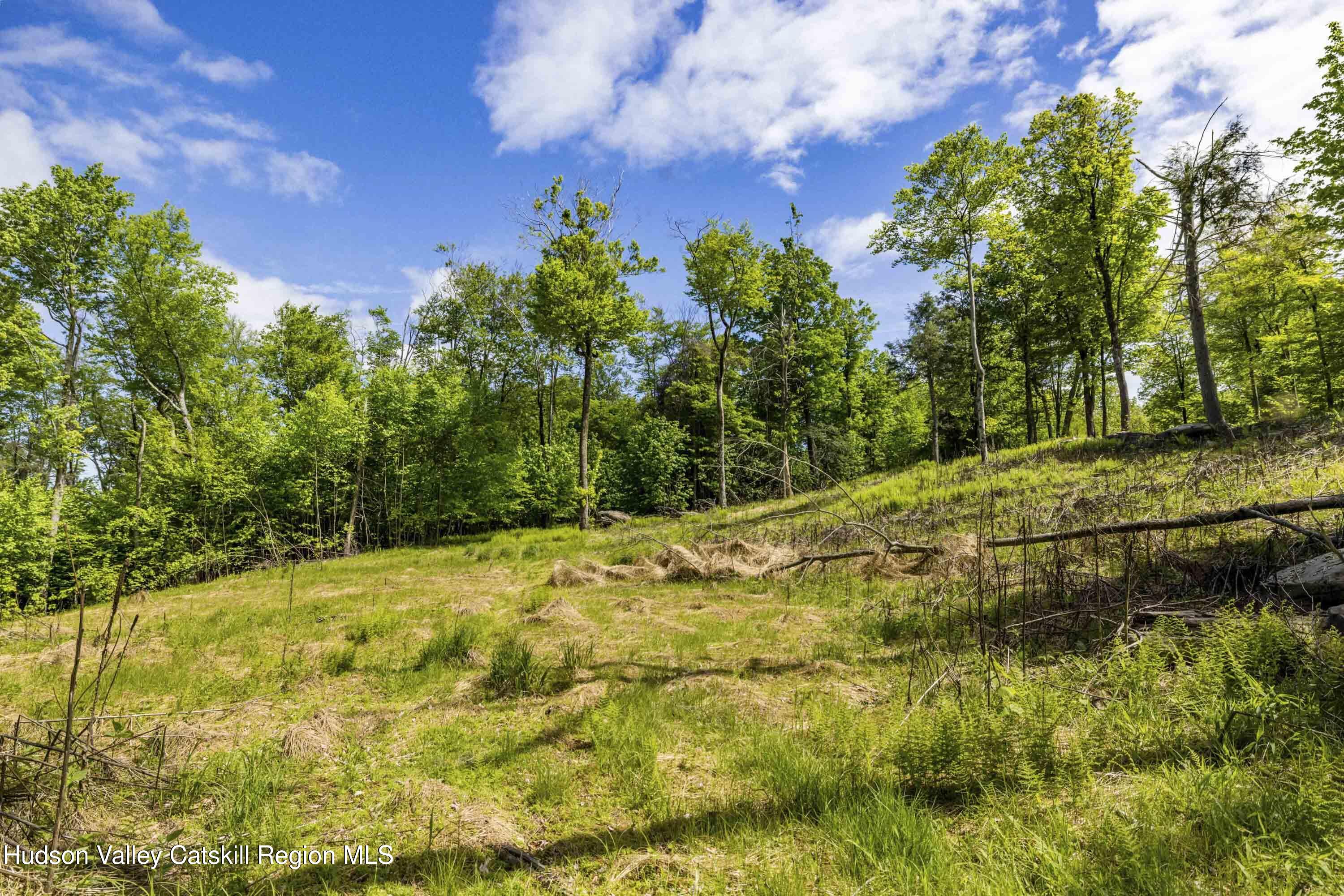 3 Red Rock Road Grahamsville, NY 12740 - Photo 4 of 15 a view of a yard with wooden fence