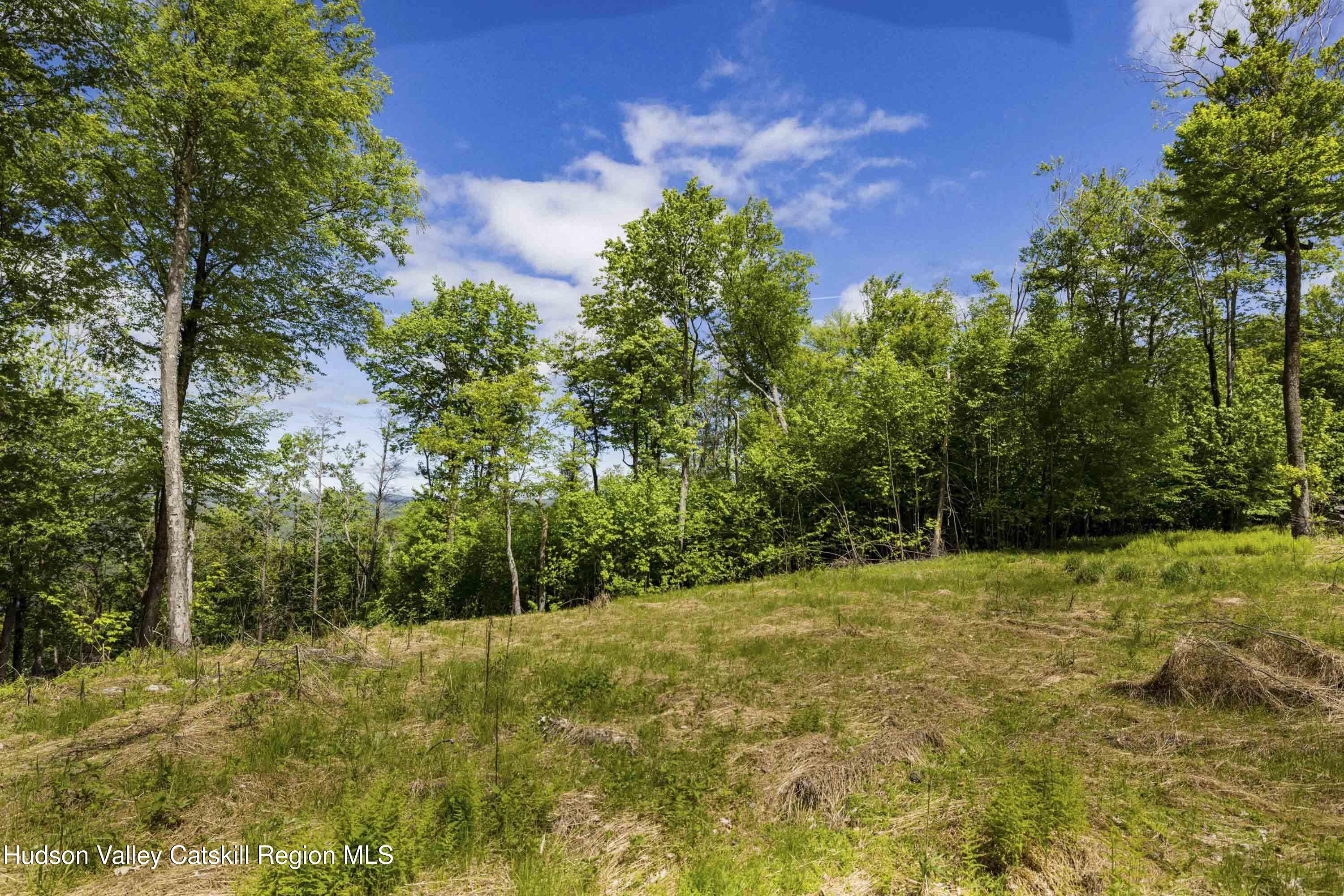 3 Red Rock Road Grahamsville, NY 12740 - Photo 5 of 15 a view of a yard with large trees