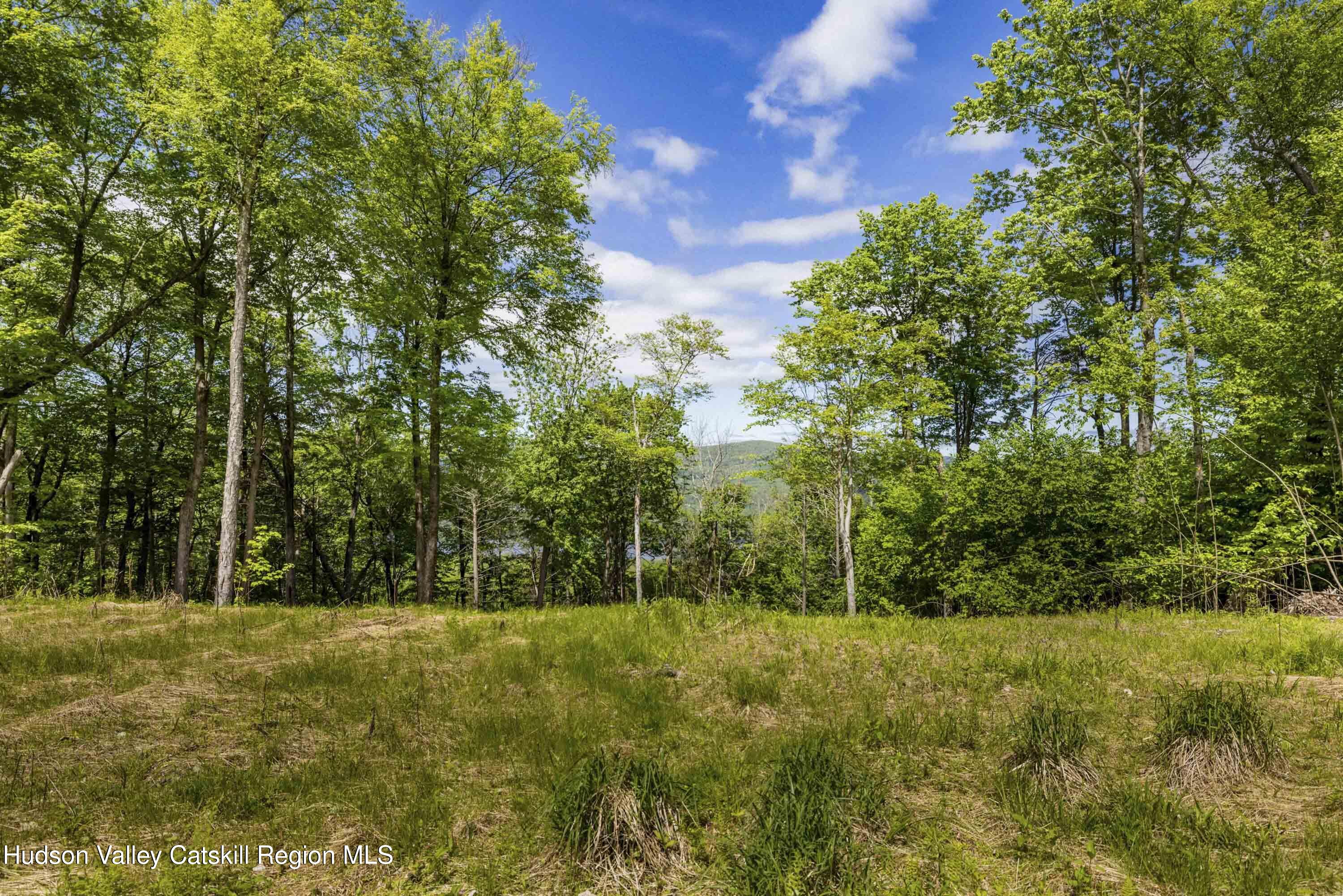 3 Red Rock Road Grahamsville, NY 12740 - Photo 6 of 15 a view of a field with trees in the background