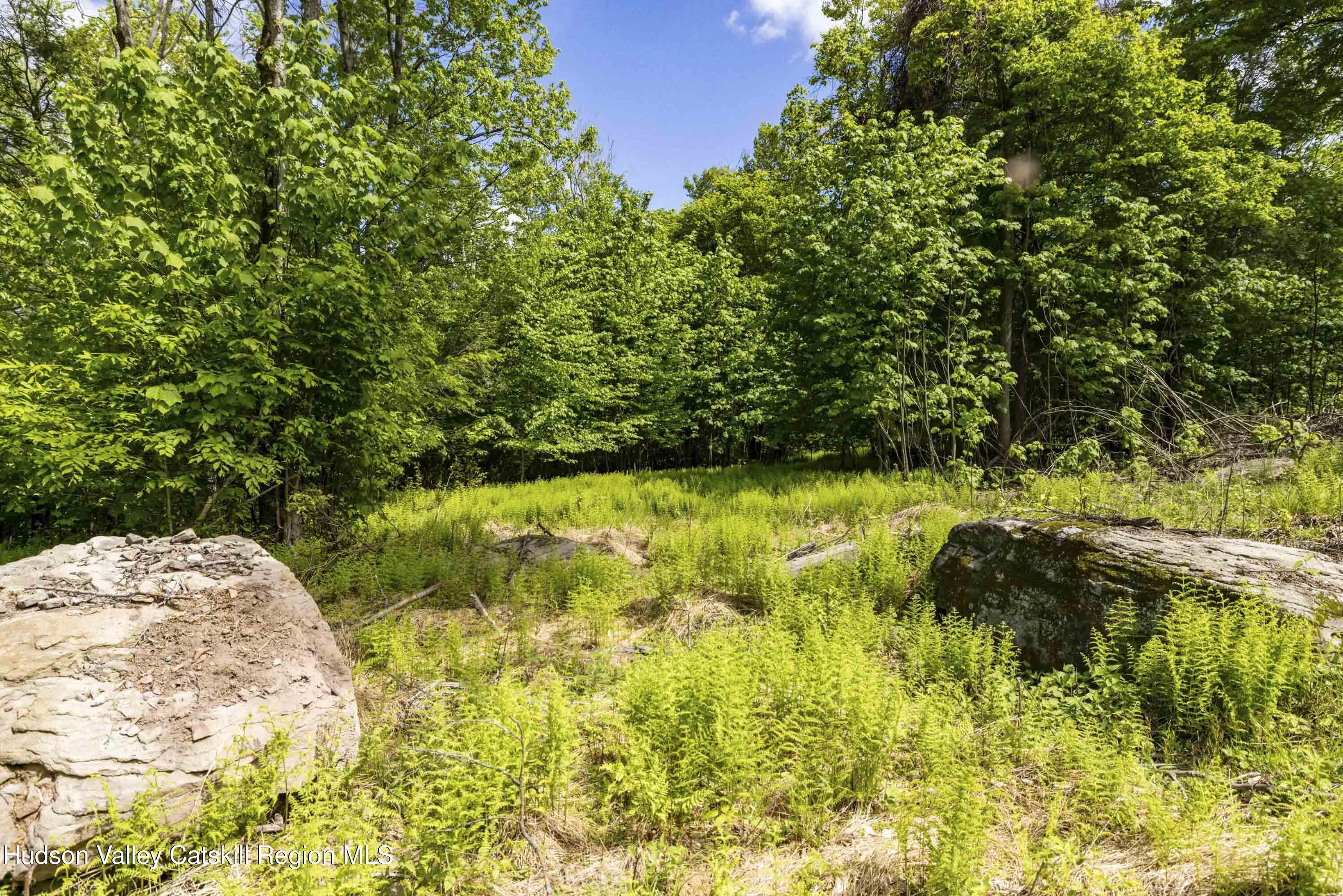 3 Red Rock Road Grahamsville, NY 12740 - Photo 7 of 15 a view of backyard with swimming pool