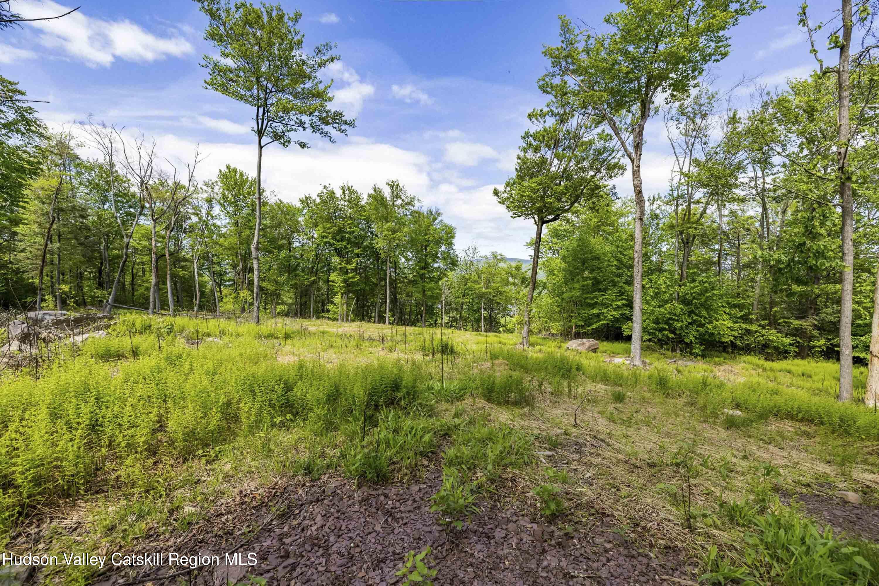 3 Red Rock Road Grahamsville, NY 12740 - Photo 8 of 15 a view of outdoor space with a garden