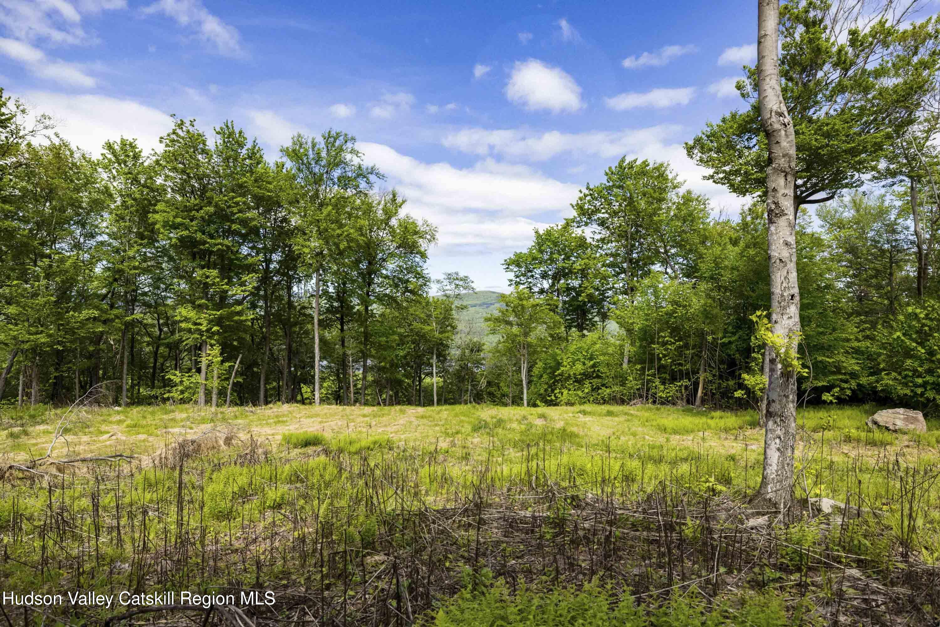 3 Red Rock Road Grahamsville, NY 12740 - Photo 9 of 15 a view of swimming pool with a yard